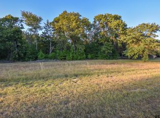 17818 Summerhill Cir, Flint, TX 75762