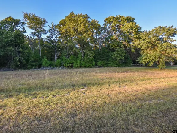 17818 Summerhill Cir, Flint, TX 75762