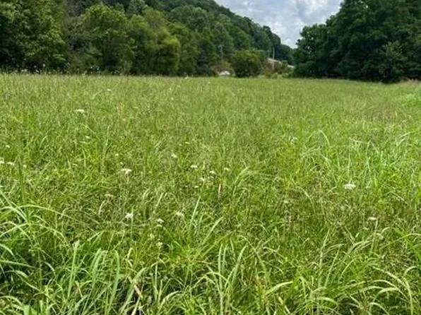 0 Clinch River Hwy, Duffield, VA 24244