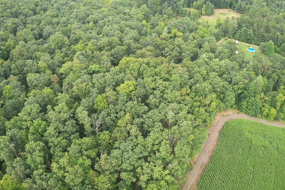 2nd image of LOT Old Town Rd