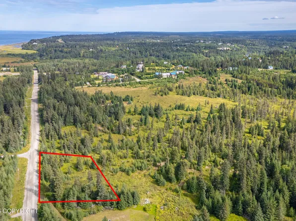 35206 Danver St, Anchor Pt, AK 99556