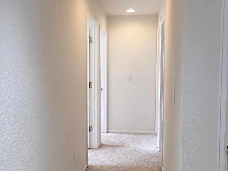 923 Grays Peak Dr — Photo 38