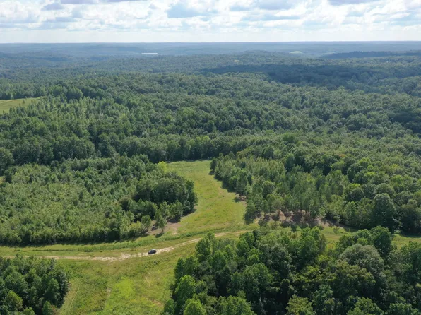 0 Freedom Rdg Lot 29, Indian Mound, TN 37079