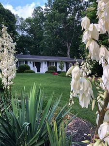 315 Dartmoor Cir NE, Sandy Springs, GA, 30328