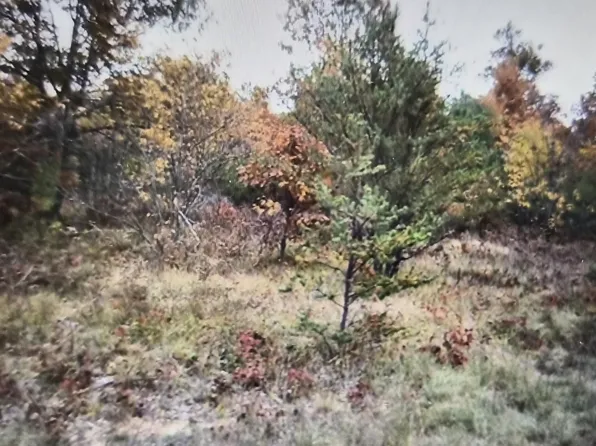 LOT 16 Northwood Dr, Grayling, MI 49738