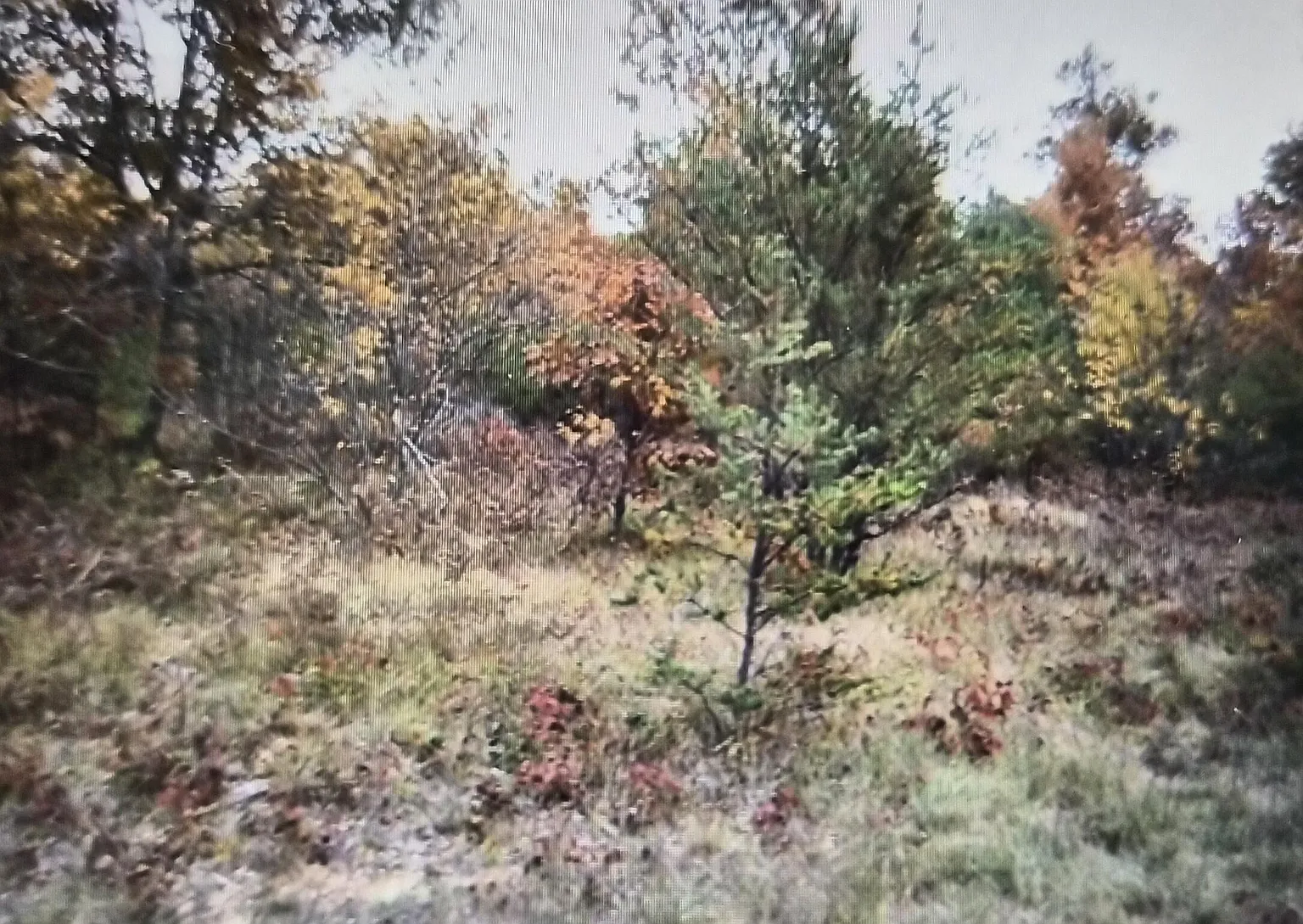 LOT 16 Northwood Dr photo 1
