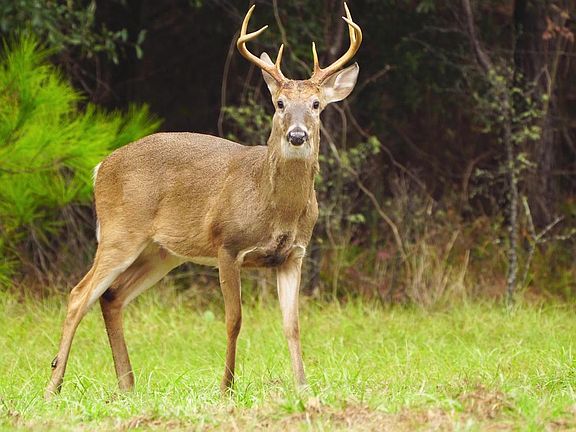 5th image of 21100 W Offutt Rd