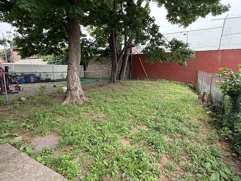 shared backyard