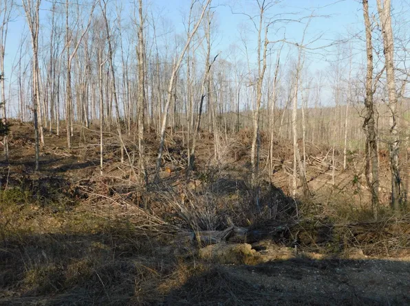0 Lucas Ridge Rd, Waverly, TN 37185