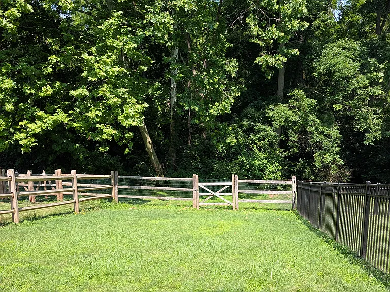 back yard