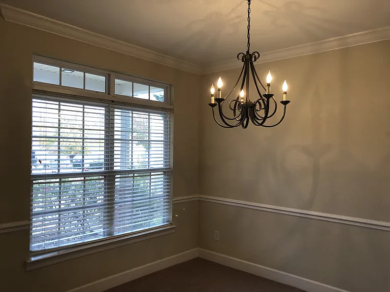 247 Dobson Branch Ct — Photo 14