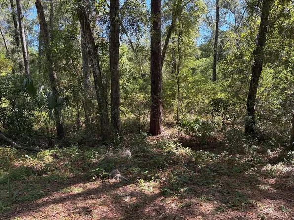 1222 Clover Ter Lot 28, Inverness, FL 34452