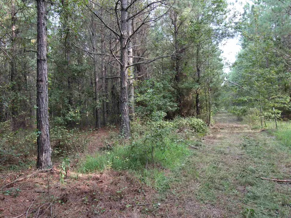 1925 N Grant St #11, Sheridan, AR 72150