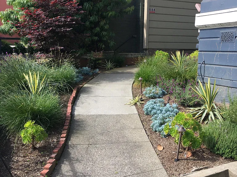 1080 Dolores St — Photo 2