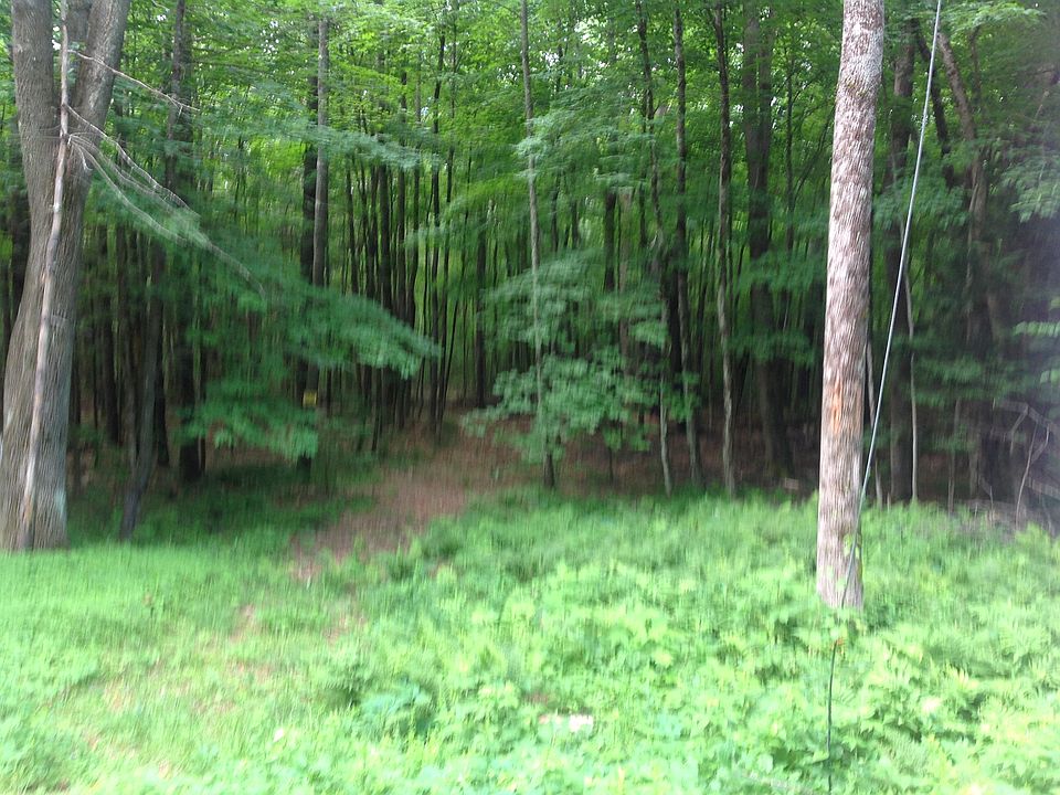 2nd image of 664 Hurricane Mountain Rd