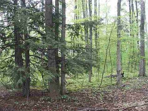 2nd image of 4647 Luanne Ln