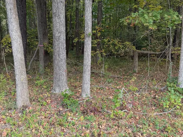 104 American Dr, Montross, VA 22520