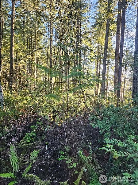 4th image of 91 E Tepee Lane