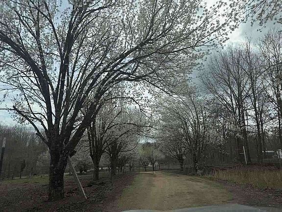 4th image of 636 Switzerland Rd