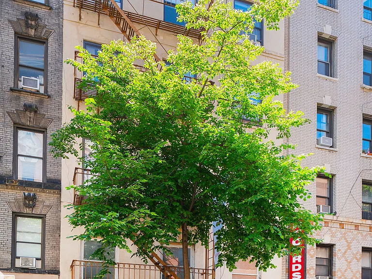 216 Thompson St #4R — Photo 11