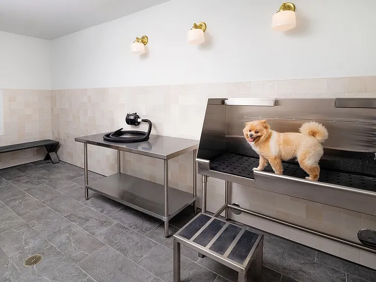 WAG pet spa