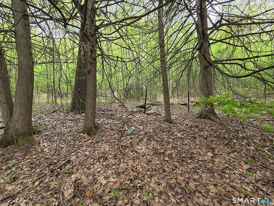 1st image of Davis Road