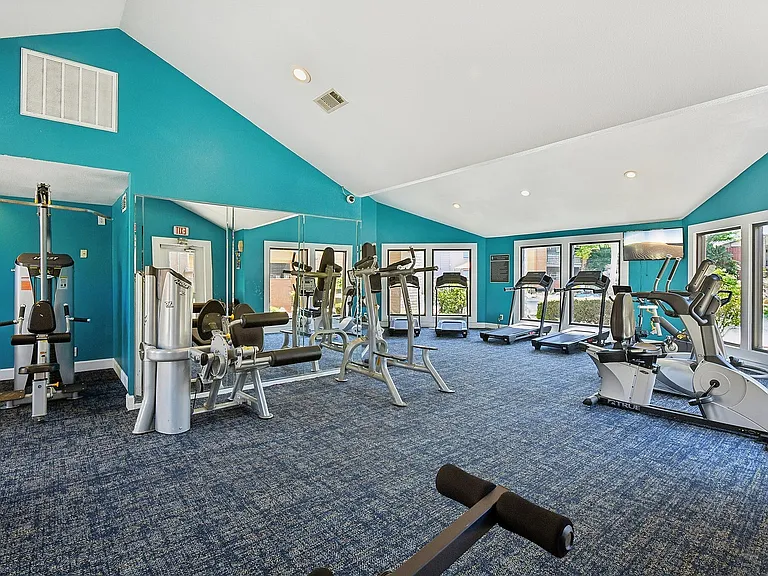 42-web-or-mls-Briar Forest Dr-1303-909
