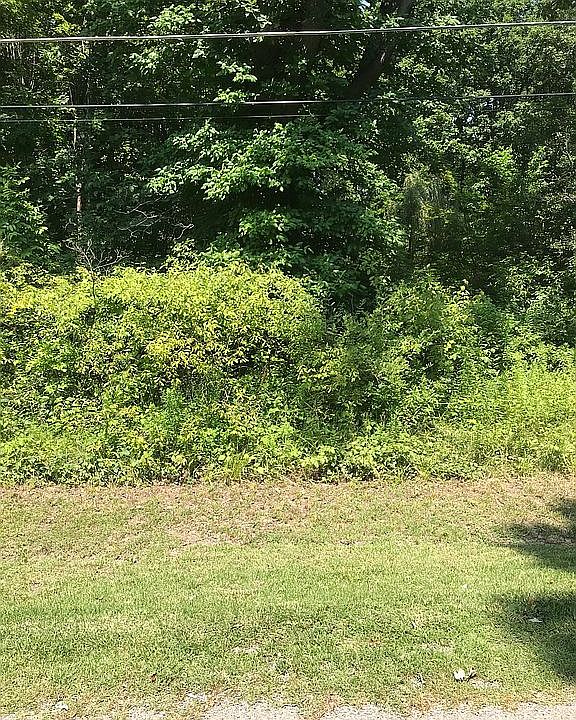 2nd image of 1334 Shaker Rd