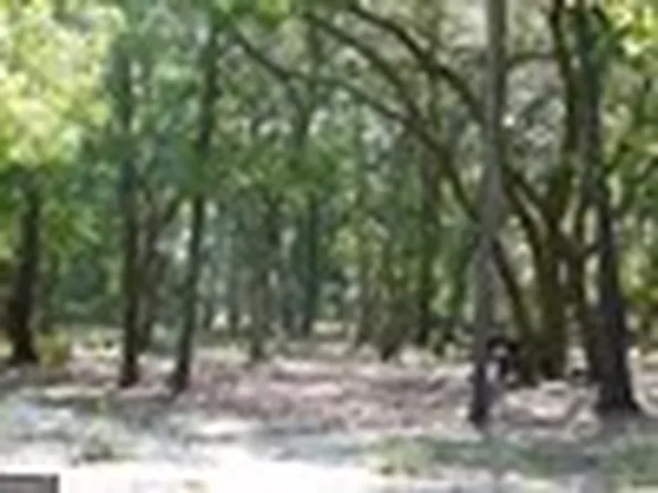 239 Rivermoss Rd, Reidsville, GA 30453
