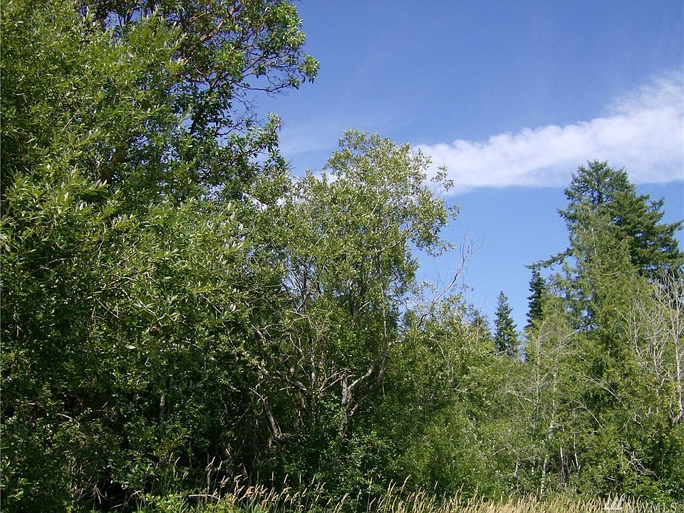 2nd image of 524 73rd Way NE