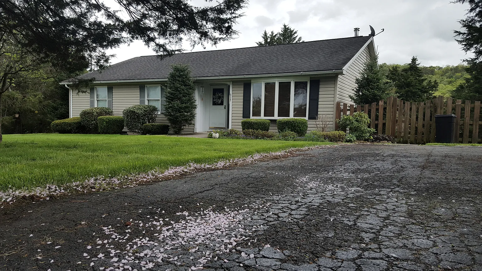 317 Magnolia Pl photo 1