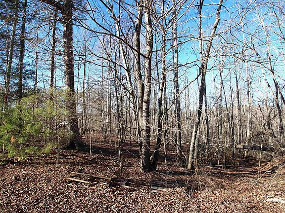 4th image of 1559 Country Estates Rd