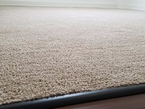 4th image of 238 W 8th St APT 1