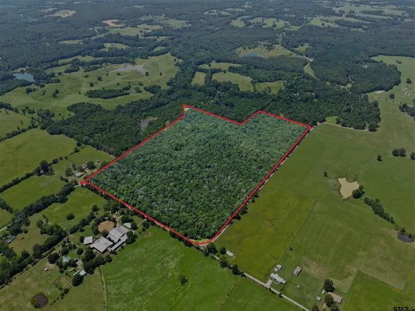County Road 3180, Cookville, TX 75558