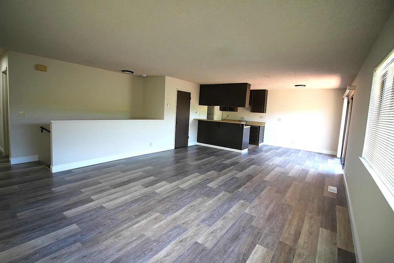 39 Shannon Ct photo 1