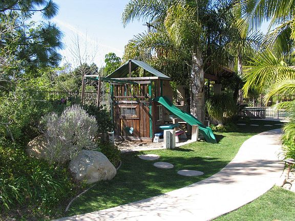 Back Yard View