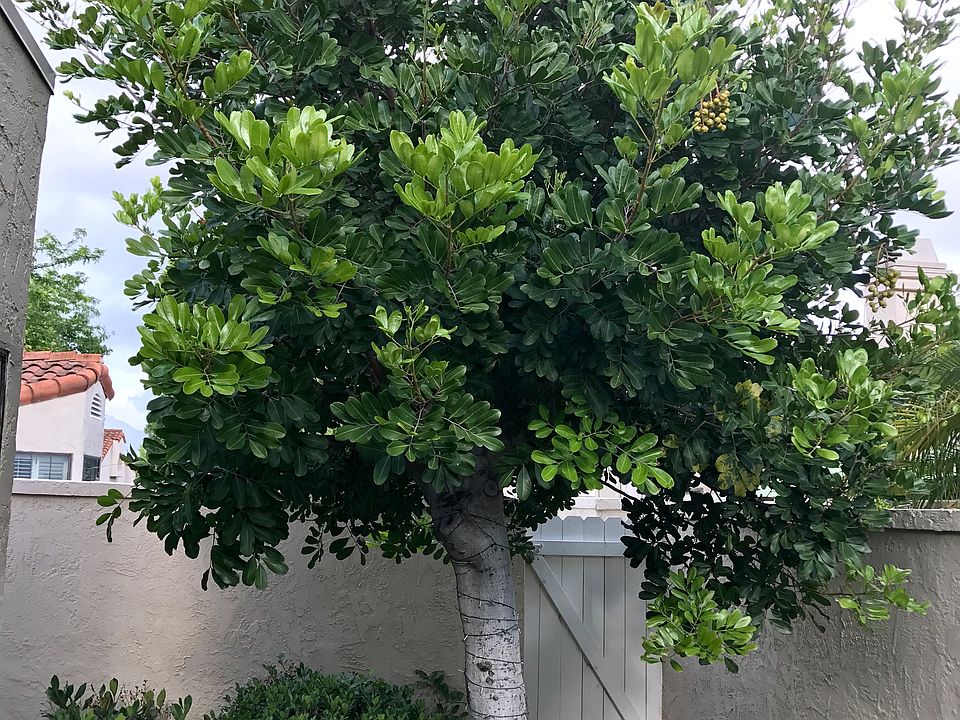 2nd image of 15969 Avenida Villaha Unit 23