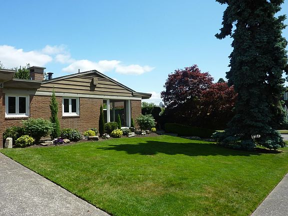 Front yard