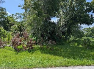 2998 Packinghouse Rd, Alva, FL 33920