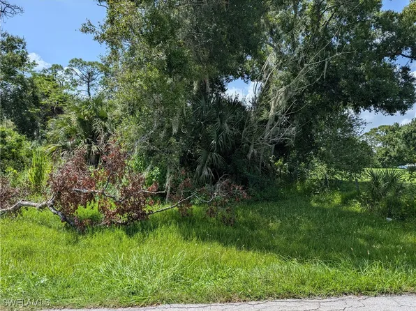 2998 Packinghouse Rd, Alva, FL 33920