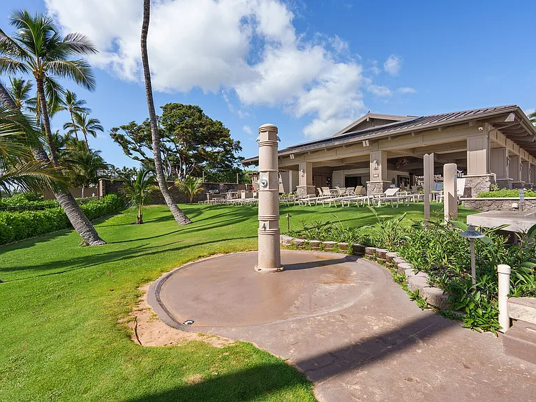 Wailea Alanui Dr — Photo 39