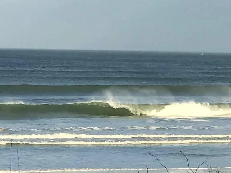 Surfs up