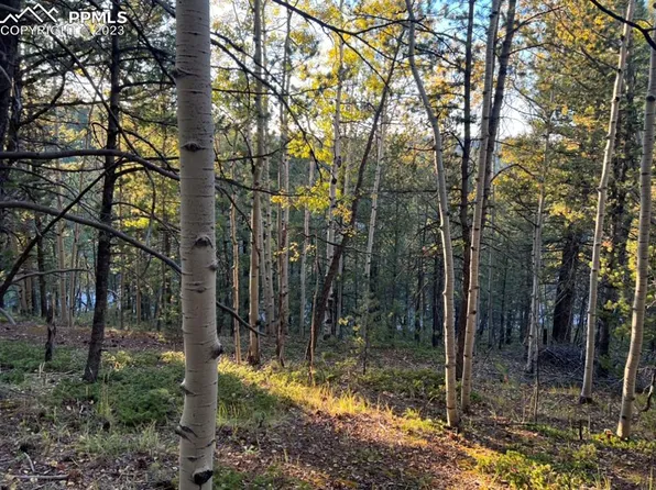 657 Calcite Dr, Divide, CO 80814