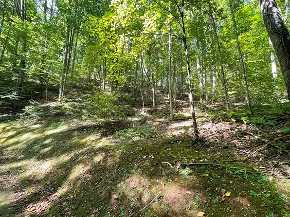 0 Hazel Hollow Dr, Dillsboro, NC 28725