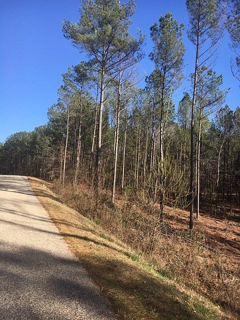 1st image of 10 Acres County Road 102