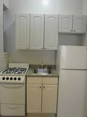 Rented by Manhattan Flats | media 13