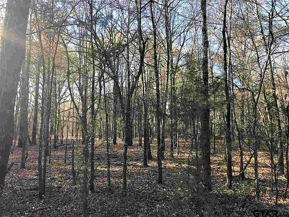 4th image of 2026 County Road 4310
