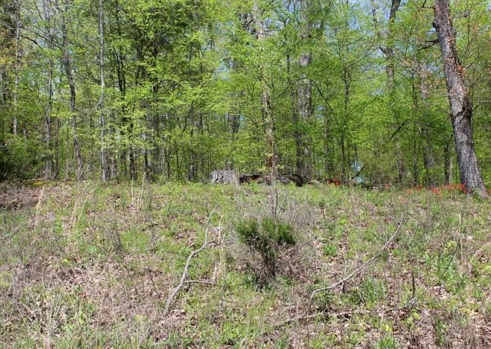 1st image of 111 Woodland Trl