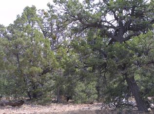 48 Elk Track Rd, Duchesne, UT 84021