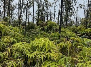 Omeka Rd, Volcano, HI 96785